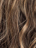 COFFEE BROWN ROOTED 8.6.16 | Medium Brown and Dark Brown with Medium Blonde Blend with Shaded Roots