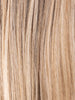 BERNSTEIN MULTI TIPPED 12.27.26 | Medium Brown and Lightest Brown with Dark Strawberry Blonde and Light Honey Blonde Blend and Lighter Tipped Ends