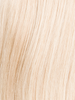 CHAMPAGNE ROOTED 22.26.16 | Light Neutral Blonde, Light Golden Blonde, and Medium Blonde Blend with Shaded Roots