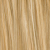 CHAMPAGNE MIX 25.26.19 | Lightest and Light Golden Blonde with Light Honey Blonde Blend 