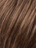 CHOCOLATE ROOTED 8.27.6 | Medium Brown and Dark Strawberry Blonde with Dark Brown Blend and Shaded Roots