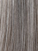 STONE GREY ROOTED 48.56 | Lightest Brown and Lightest Blonde with Grey Blend and Shaded Roots
