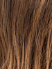 HAZELNUT LIGHTED 8.9.27 | Medium Brown and Medium Warm Brown with Dark Strawberry Blonde Blend with Highlights Throughout and Concentrated in the Front