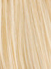 PASTEL BLONDE MIX 25.23 | Lightest Golden Blonde and Lightest Pale Blonde Blend