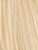 PASTEL BLONE MIX 25.23 | Lightest Golden Blonde and Lightest Pale Blonde Blend