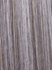 STONE GREY ROOTED 48.56 | Lightest Brown and Lightest Blonde with Grey Blend and Shaded Roots