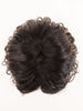 DARK BROWN TIPPED	4.2.6 | Darkest Brown/Black with Dark Brown Blend with Lighter Tipped Ends