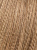 BERNSTEIN MIX 12.26.830 | Lightest Brown and Light Golden Blonde with Medium Brown Blended with Light Auburn Blend 