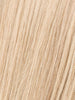 CHAMPAGNE ROOTED 22.26.25 | Light Neutral Blonde and Light/Lightest Golden Blonde Blend and Shaded Roots