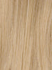 LIGHT BLONDE 25.23.26 | Lightest Golden Blonde and Lightest Pale Blonde with Light Golden Blonde Blend
