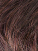 AUBERGINE MIX 133.131.2 | Darkest Brown with hints of Plum at base and Bright Cherry Red and Dark Burgundy Highlights