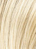 LIGHT HONEY ROOTED 26.25.19 | Light and Lightest Golden Blonde with Light Honey Blonde Blend