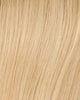 CHAMPAGNE ROOTED 22.26.25 | Light Neutral Blonde and Light/Lightest Golden Blonde Blend and Shaded Roots