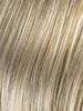 SANDY BLONDE ROOTED 22.16.24 | Light Neutral Blonde and Medium Blonde with Lightest Ash Blonde Blend and Shaded Roots
